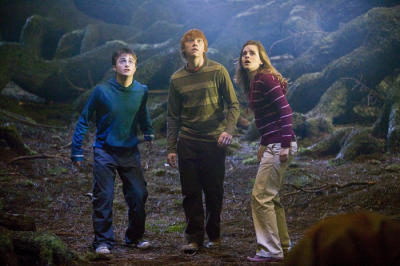 Harry Potter groß geworden Harry Potter groß geworden