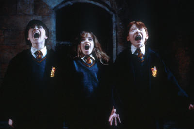 Harry Potter groß geworden Harry Potter groß geworden