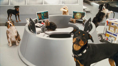 Cats & Dogs 2 Filmcheck Die Rache der Kitty Kahlohr Cats & Dogs 2 Filmcheck Die Rache der Kitty Kahlohr