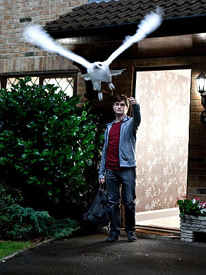 Harry Potter und die Heiligtümer des Todes (Teil 1) Harry Potter und die Heiligtümer des Todes (Teil 1)