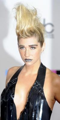 American Music Awards 2010 American Music Awards 2010