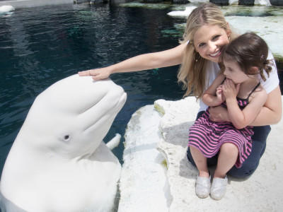 Promi-Kids und Tiere Promi-Kids und Tiere