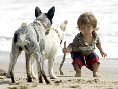 Promi-Kids und Tiere Promi-Kids und Tiere
