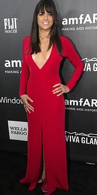 amfAR Gala Hollywood 2014 amfAR Gala Hollywood 2014