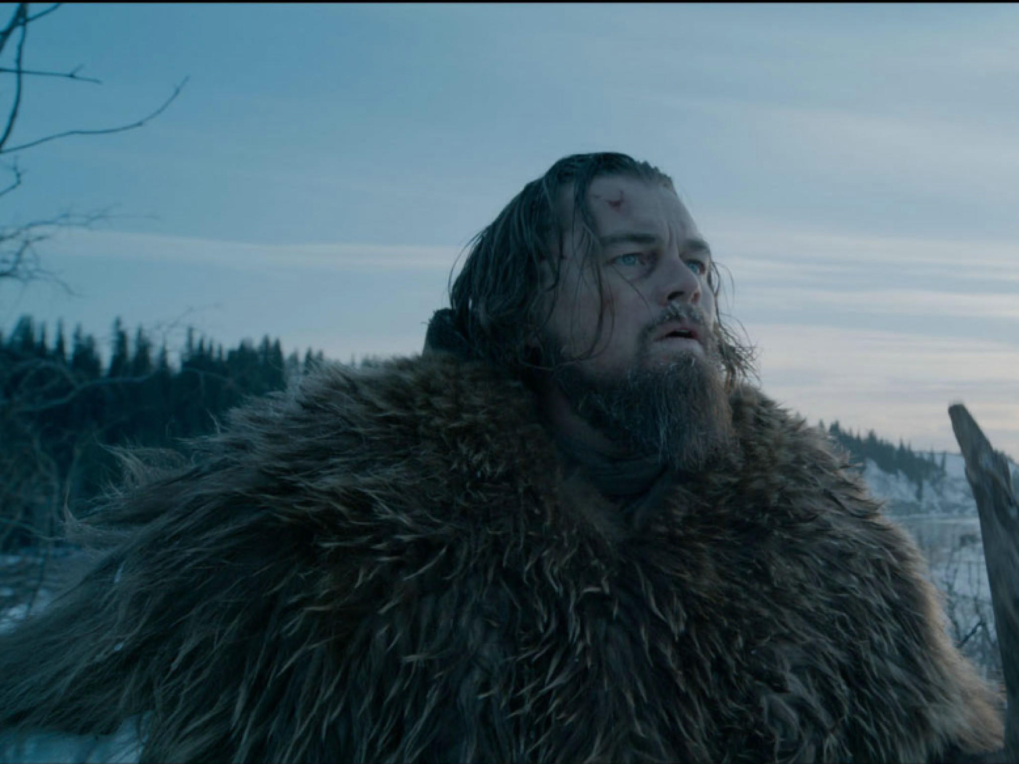 Oscars 2016 Nominierungen Oscars 2016 Nominierungen