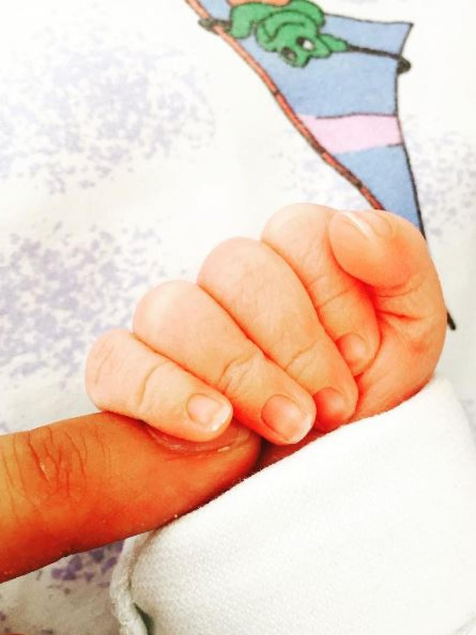 Zwitscher-Babys Promi-Nachwuchs bei Twitter Zwitscher-Babys Promi-Nachwuchs bei Twitter