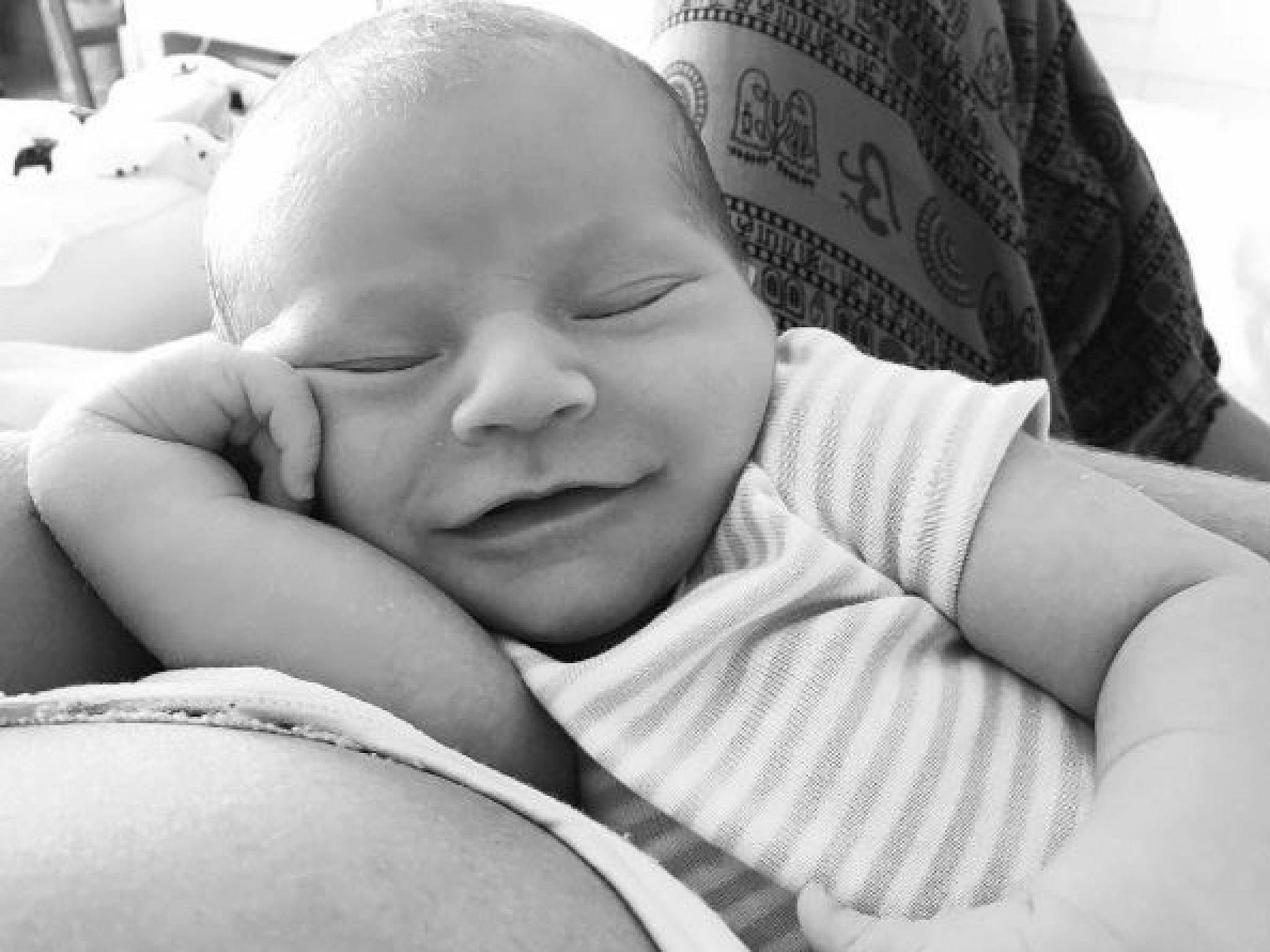 Zwitscher-Babys Promi-Nachwuchs bei Twitter Zwitscher-Babys Promi-Nachwuchs bei Twitter