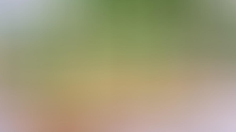 Darum wird die Gurke völlig unterschätzt Darum wird die Gurke völlig unterschätzt