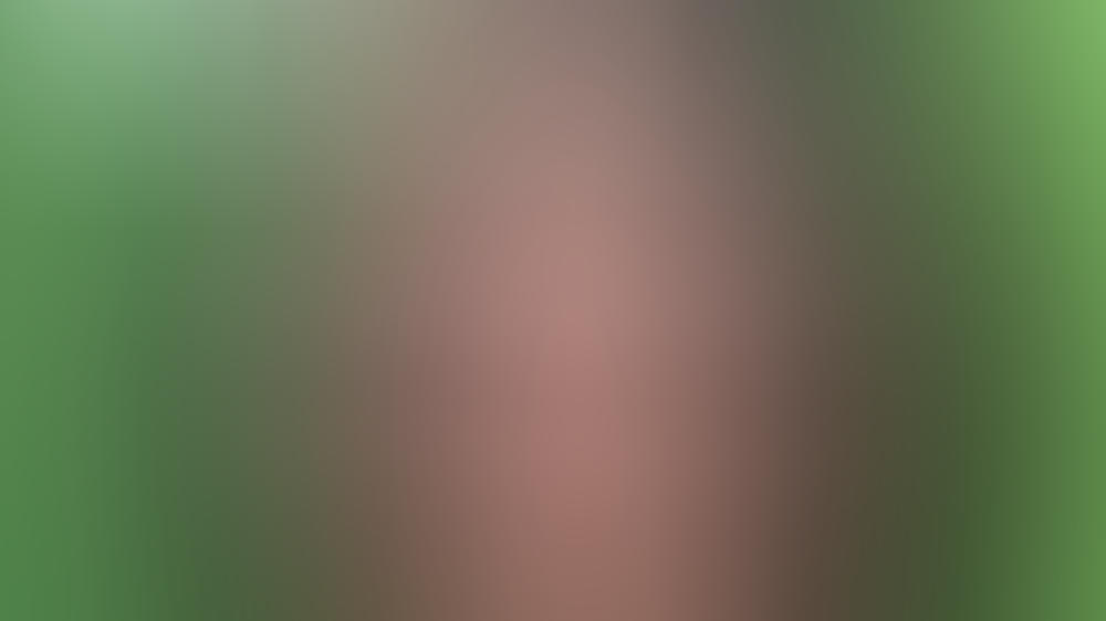 Roseanne Barr: Die nächste verwirrte Twitter-Offensive Roseanne Barr: Die nächste verwirrte Twitter-Offensive