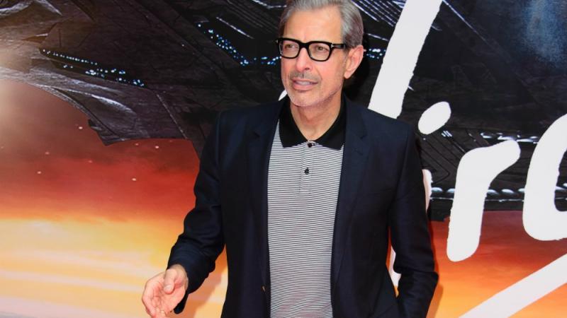 Jeff Goldblum rechnet mit 'Abflauen' seiner Beliebtheit Jeff Goldblum rechnet mit 'Abflauen' seiner Beliebtheit