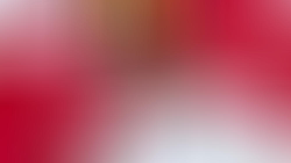 Der Hund von Lewis Hamilton verdient mehr als 600 Euro am Tag Der Hund von Lewis Hamilton verdient mehr als 600 Euro am Tag