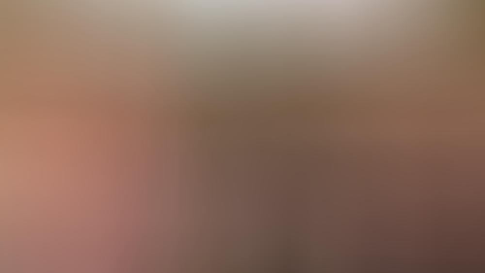 Veronica Ferres mit Eseln Veronica Ferres mit Eseln