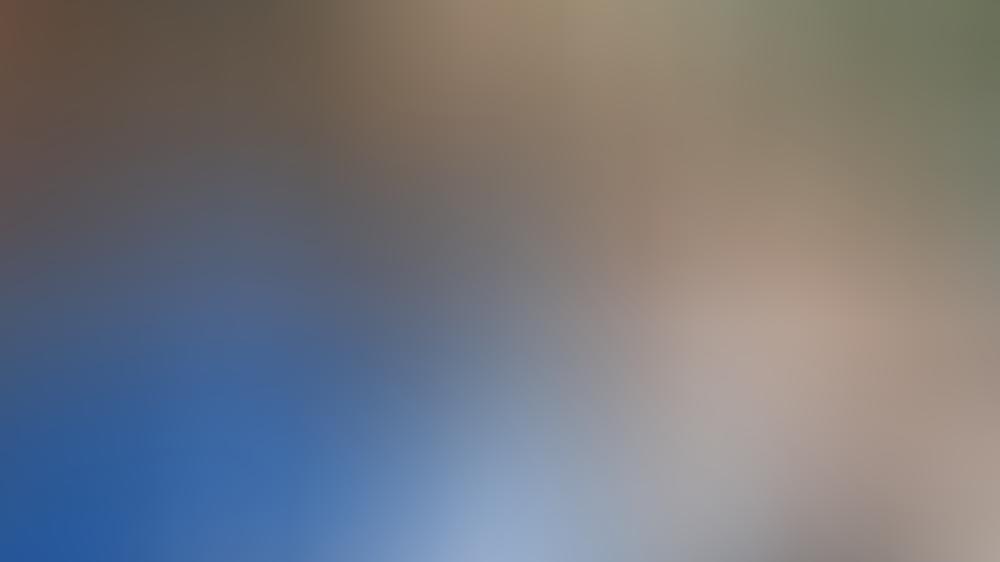 Auf Standesamt gesichtet: Haben Hailey Baldwin & Justin Bieber heimlich geheiratet? Haben Justin Bieber und Hailey Baldwin schon geheiratet?