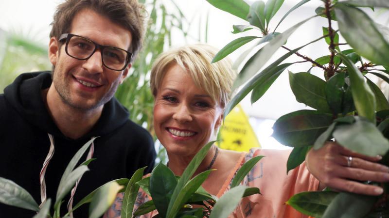 Dschungelcamp 2019: Chris Töpperwien bei Dreharbeiten gesichtet Chris Töpperwien zieht ins RTL-Dschungelcamp!