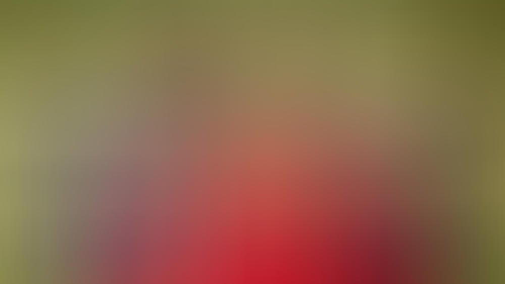 Krimi-Tipps am Montag Krimi-Tipps am Montag