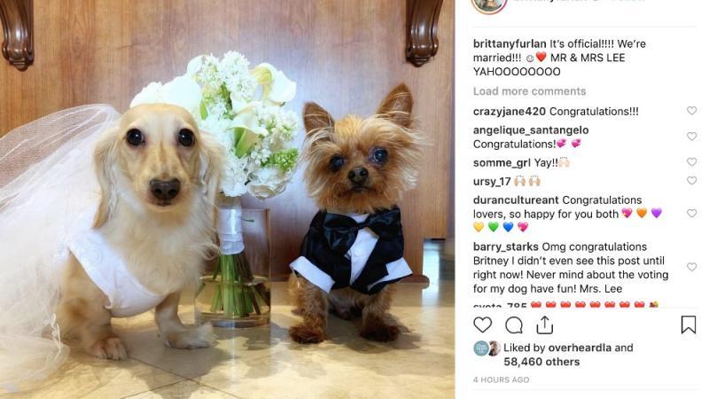 Tommy Lee hat seine Brittany Furlan geheiratet Tommy Lee ist wieder unter der Haube