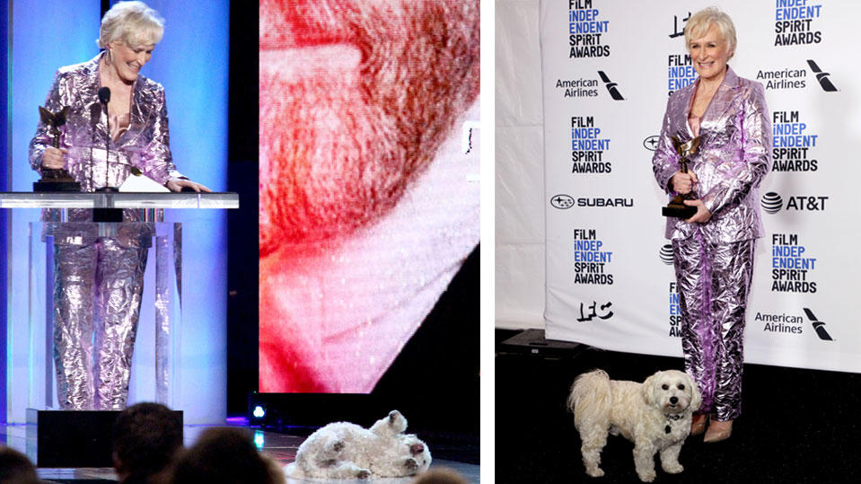Independent Spirit Awards: Glenn Close mit flauschigem Date Glenn Close nahm ihren Independent Spirit Award zusammen mit ihrem Hund entgegen.