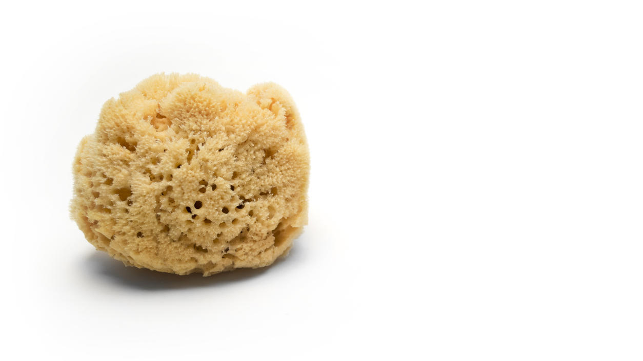 Menstruation: 5 nachhaltige Hygiene-Alternativen Naturschwamm