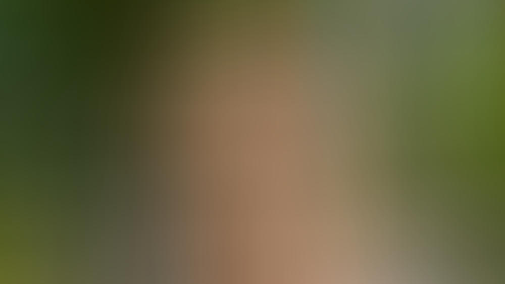 Annette Frier: „Danni Lowinski“-Comeback ist nicht in Sicht Annette Frier kehrt nicht als Danni Lowinski zurück
