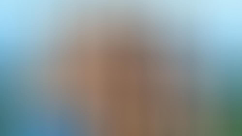 Erster Teaser des "Beverly Hills"-Revivals veröffentlicht "BH90210": Erster Teaser des "Beverly Hills"-Revivals veröffentlicht
