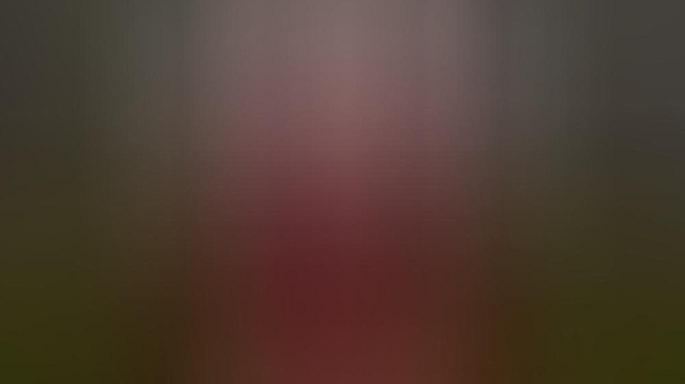 Hier ist Nicole Kidman nicht erwünscht Hier ist Nicole Kidman nicht erwünscht