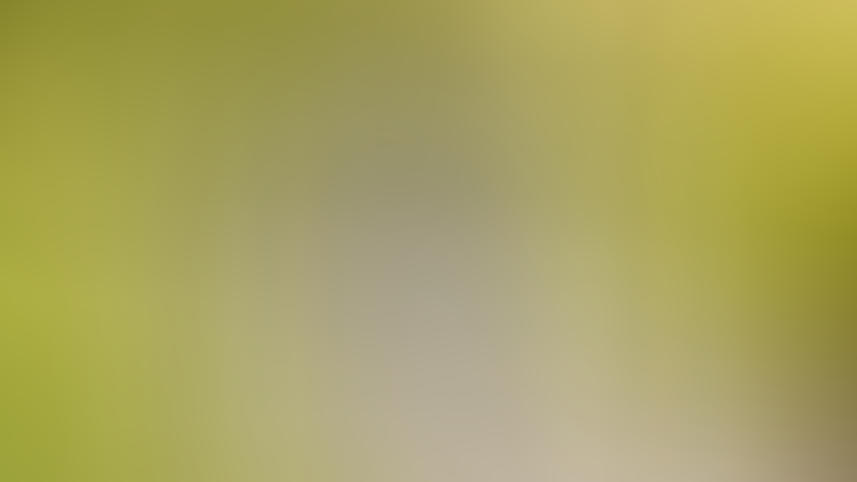 Süße neue Fotos von Prinzessin Estelle und Prinz Oscar Süße neue Fotos von Prinzessin Estelle und Prinz Oscar