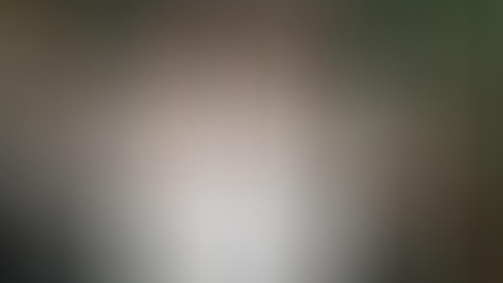 Dieter Bohlen schafft es doch: Sein neues Album kommt Anfang Juli Dieter Bohlen bringt nun doch ein neues Album raus
