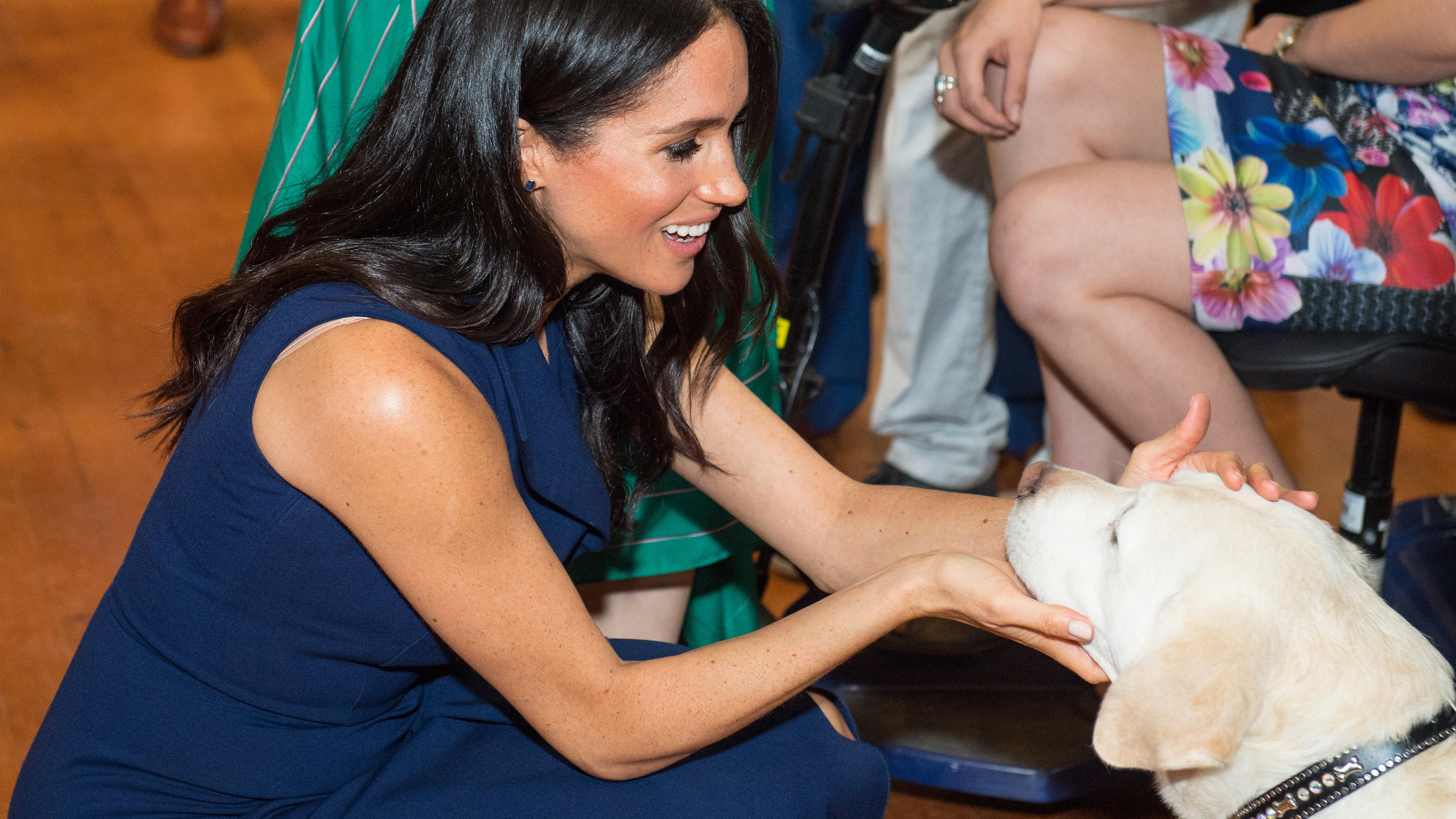 Herzogin Meghan will für Baby Archie einen Hund adoptieren Herzogin Meghan hat ein Herz für Tiere