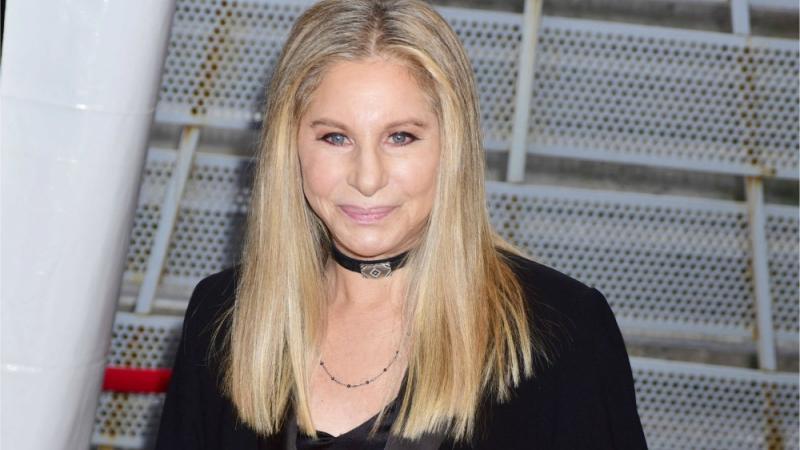 Barbra Streisand fuhr geklonte Hunde im Kinderwagen Barbra Streisand fuhr geklonte Hunde im Kinderwagen