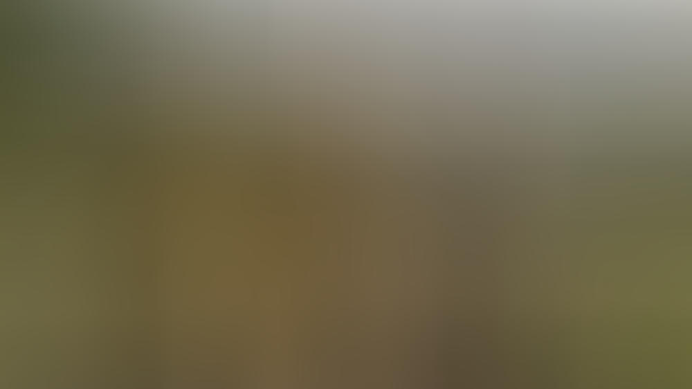 TV-Tipps am Freitag TV-Tipps am Freitag