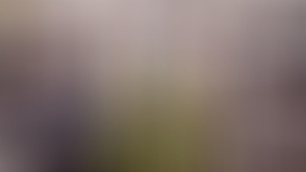 Wie oft denken die Fantastischen Vier ans Aufhören? Wie oft denken die Fantastischen Vier ans Aufhören?