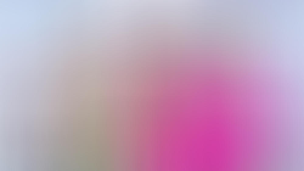 Tori Spelling und Jennie Garth sprechen über Zukunft von "BH90210" Tori Spelling und Jennie Garth sprechen über Zukunft von "BH90210"