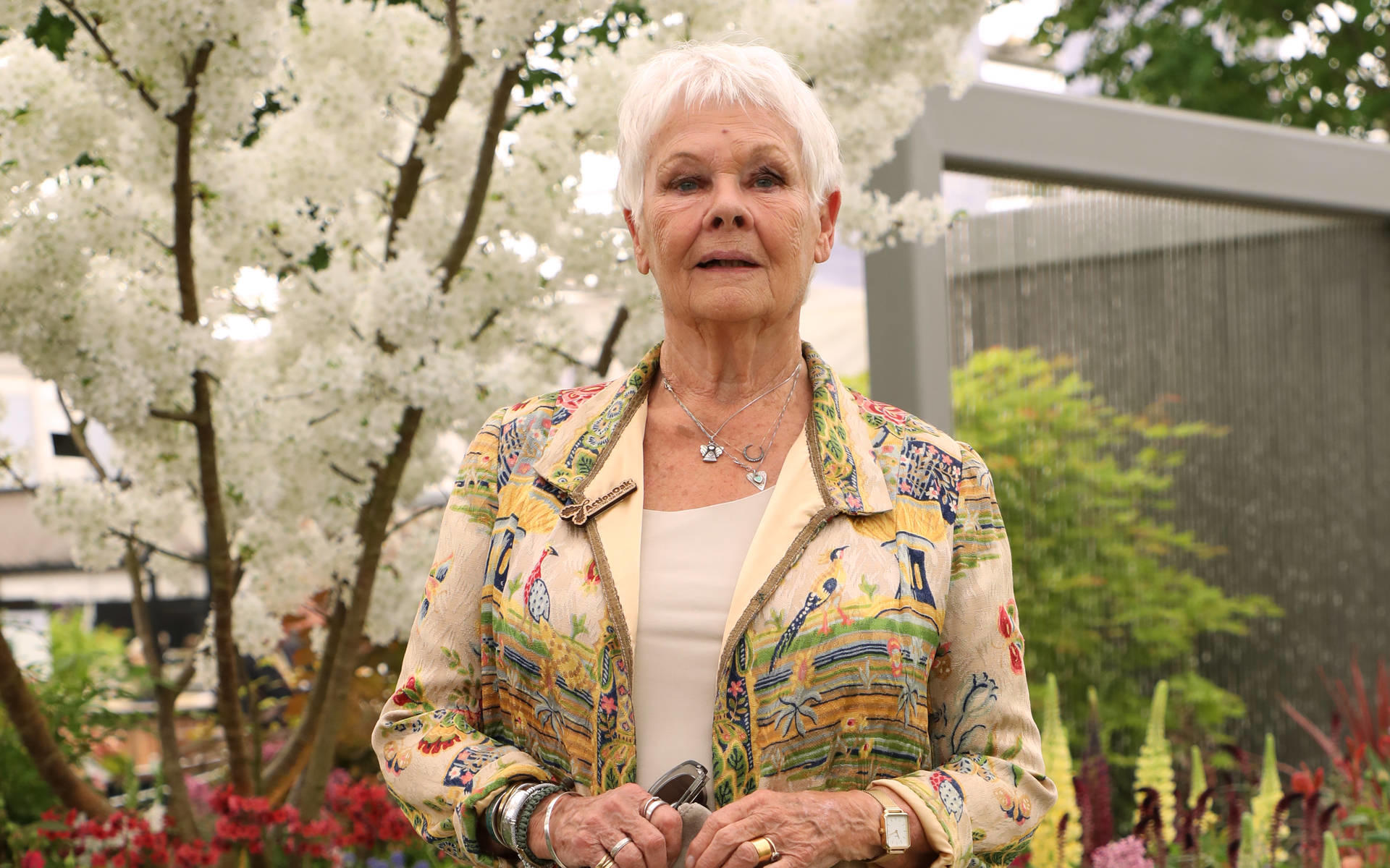 Rente, nein danke! „James Bond“-Star Judi Dench (84) denkt nicht ans Aufhören Judi Dench: "Rente? Kommt gar nicht in Frage!"