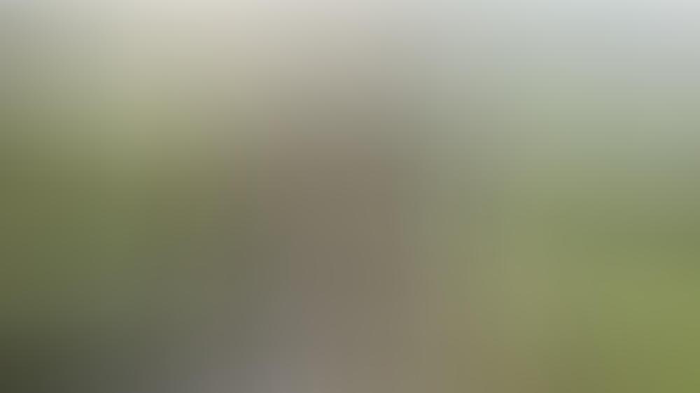 Zum Weltherztag: Mit diesen Tipps schützen Sie Ihr Herz Zum Weltherztag: Mit diesen Tipps schützen Sie Ihr Herz