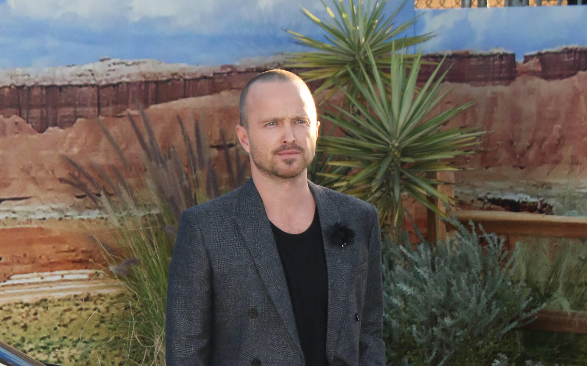 'Breaking Bad'-Star Aaron Paul: Ich bin ein guter Lügner 'Breaking Bad'-Star Aaron Paul: Ich bin ein guter Lügner