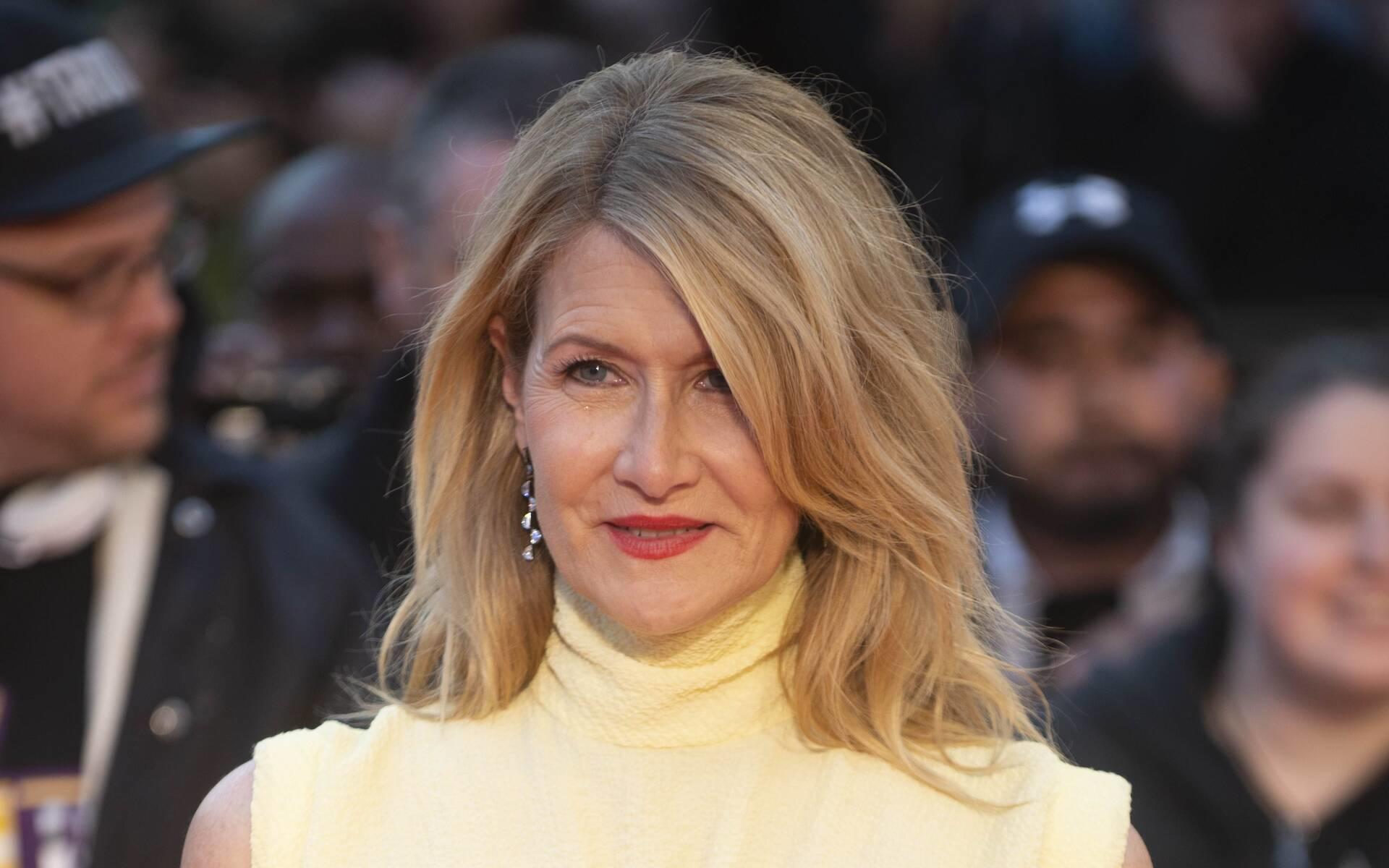 'Big Little Lies'-Star Laura Dern: Faltenfrei dank Meditation