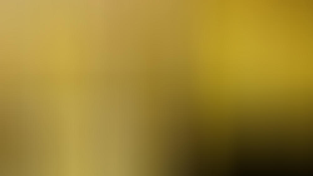 Dua Lipa: Das neue Album hat "nostalgische Elemente" Singt Dua Lipa den nächsten Bond-Song?