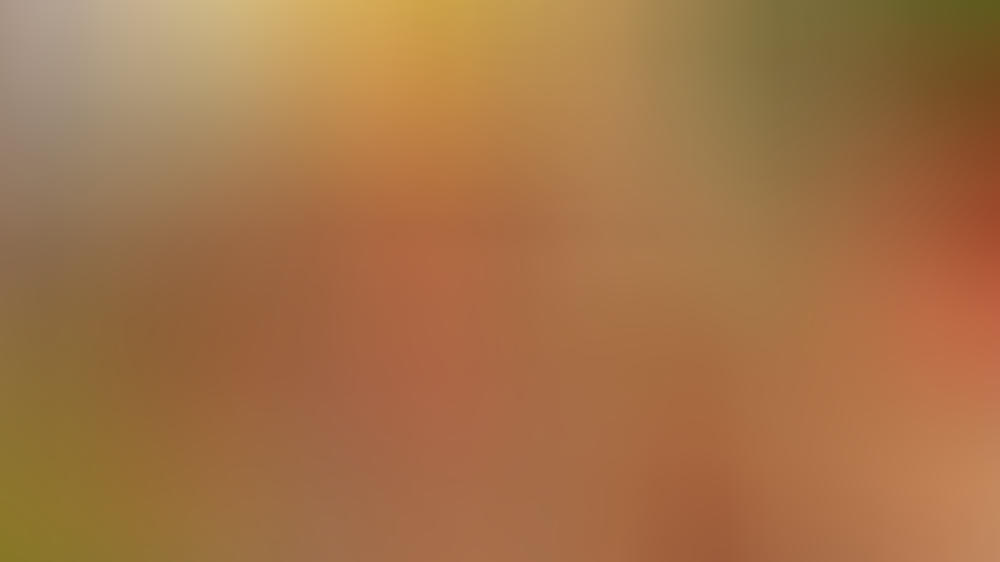 Flexitarier: Das steckt hinter dem neuen Ernährungstrend Flexitarier: Das steckt hinter dem neuen Ernährungstrend