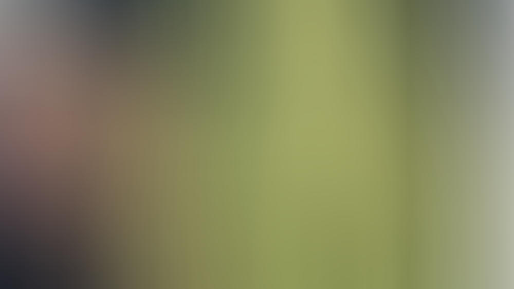 Toni Garrn schoss nur ein Urlaubsfoto Toni Garrn schoss nur ein Urlaubsfoto
