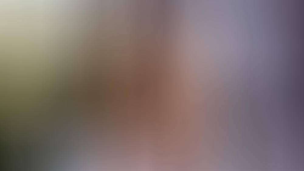 Wird Herzogin Meghan doch keine Britin? Wird Herzogin Meghan doch keine Britin?