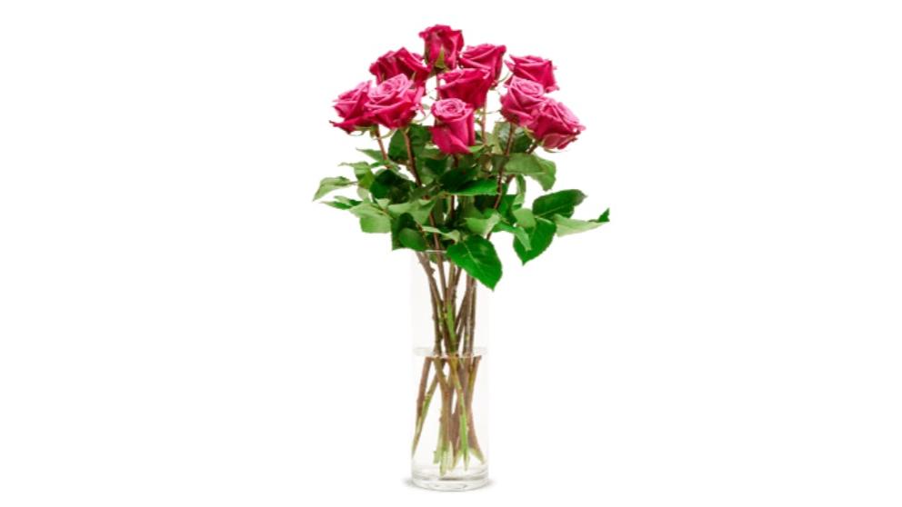 Valentinstag: Blumen verschicken – letzte Chance für Rosen und Sträuße Blueberry-Rosen duften besonders schön.