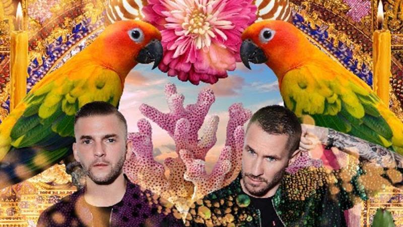 Galantis sind begeistert von Dolly Partons Humor Galantis sind begeistert von Dolly Partons Humor
