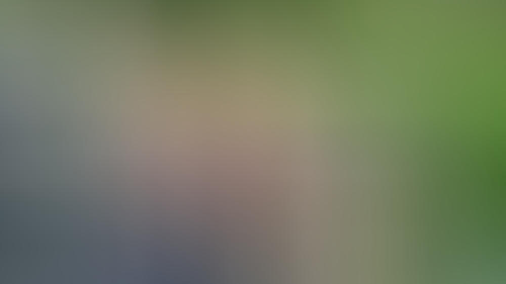 Jeff Bezos: Neues Heim für 165 Millionen US-Dollar Jeff Bezos: Neues Heim für 165 Millionen US-Dollar