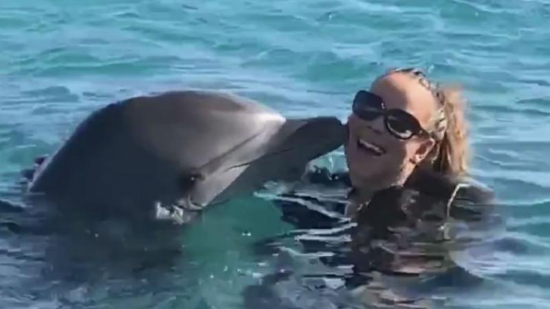 Mariah Carey verschiebt Hawaii-Auftritt wegen Coronavirus Mariah Carey verschiebt Hawaii-Auftritt wegen Coronavirus