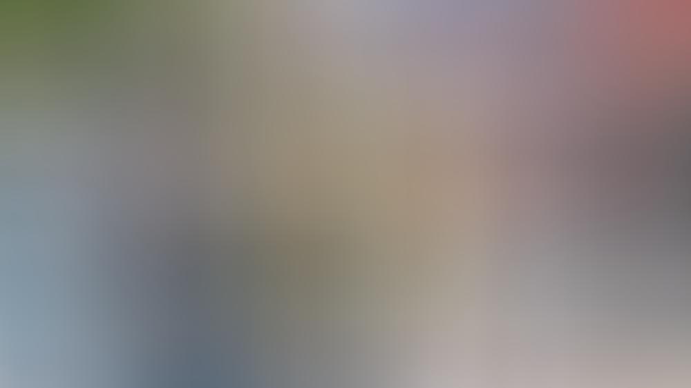 ZDF-"Fernsehgarten": Drei Shows wegen Coronavirus abgesagt ZDF-"Fernsehgarten": Drei Shows wegen Coronavirus abgesagt