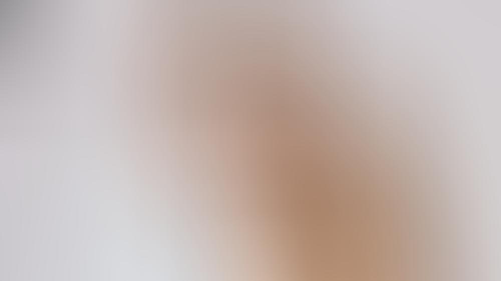 Angelina Heger und Sebastian Pannek sind verlobt Angelina Heger und Sebastian Pannek sind verlobt