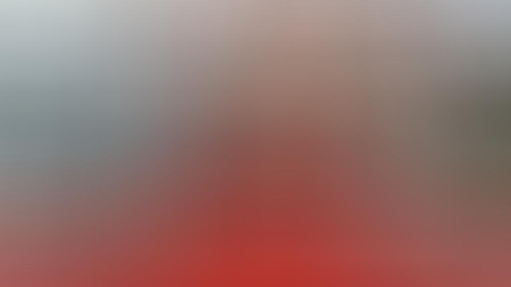 Die Internationalen Filmfestspiele von Cannes werden verschoben Die Internationalen Filmfestspiele von Cannes werden verschoben