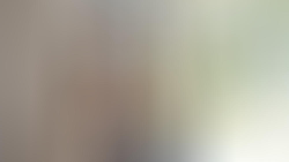 So werden die Fenster sauber und glänzend So werden die Fenster sauber und glänzend