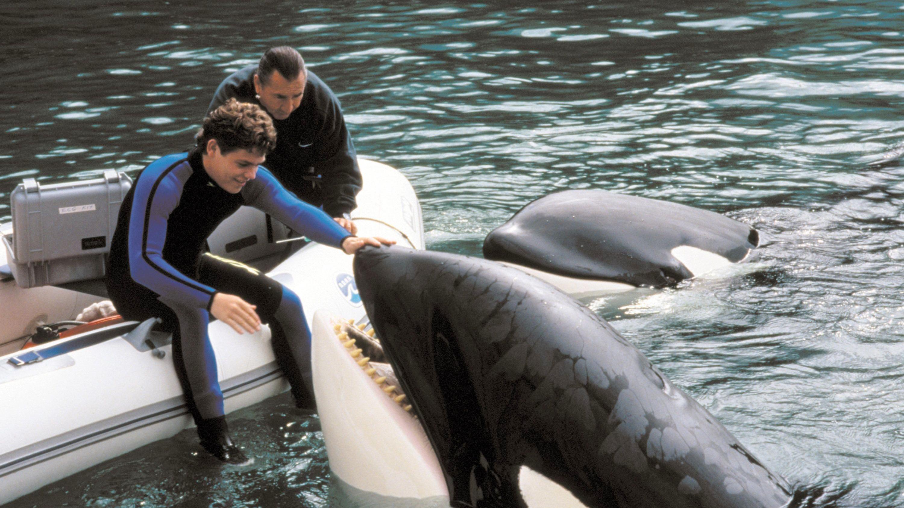 „Free Willy“-Star Jason James Richter: So geht es ihm heute Kinderstar Jason James Richter mit einem Orca