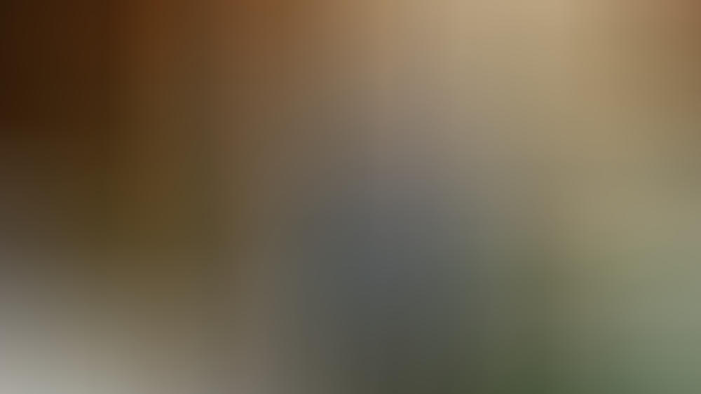 Kochen in der Krise: Diese Starköche kochen live für ihre Follower Kochen in der Krise: Diese Starköche kochen live für ihre Follower